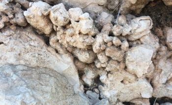 Field Sensor Accurately, Quickly Identifies Soil Issues