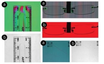 Teledyne DALSA's New Polarization Camera Features Advanced CMOS Image Sensor