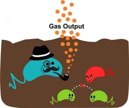 Innovative Microbial Sensor for Investigating Soil Dynamics