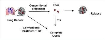 Versatile Sensor Identifies & Suppresses Tumor-Initiating Cells
