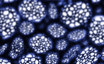 Sensing Method Could Detect Cancer & Diabetes Earlier