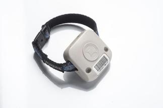 RTLS Sensor Network Helps Prevent Falls in Elderly Residents
