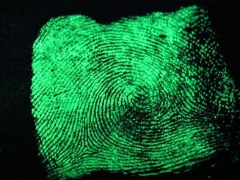 High Performance Fingerprinting Lens