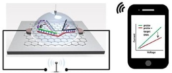 New DNA Biosensor Chip Can Detect Single Nucleotide Polymorphism with Greater Sensitivity