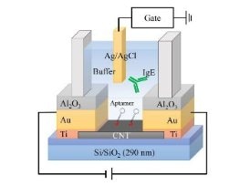 New Technique to Improve the Detection of Biomolecules