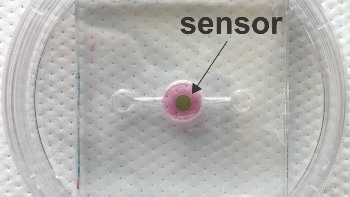 New Biosensor Facilitates Real-Time Oxygen Monitoring for ‘Organs-On-a-Chip’