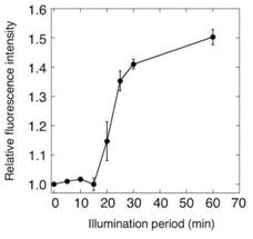 Scientists Develop Fluorescent Protein Sensor Based on Protein from E. coli