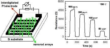 Vertically Aligned WO3-CuO Core-Shell Nanorod Arrays Detect Toxic NH3 Gas