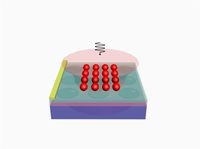 New Graphene-Based Sensor Design for Detecting Pathogens, Gases, and Chemicals