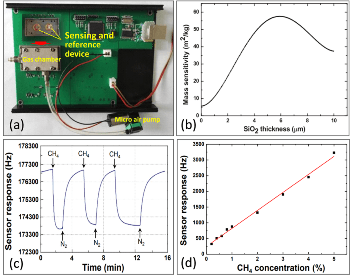 Innovative Love Wave-Based Methane Gas Sensor has Fast Response and High Sensitivity