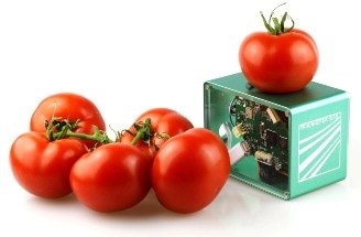 New Pocket-Size Scanning Technology to Test Whether Food Items Have Gone Stale