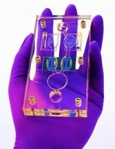 Novel Multi-Organ Microfluidic Device Proves Efficient for Long-Term Toxicology Testing