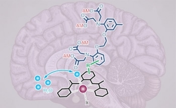 New MRI Sensor Could Reveal Neurons’ Role in Various Kinds of Behavior Within the Brain