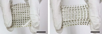 The Future of Stretchable Electronics