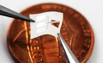 New Implantable Sensor for Tracking Spike in Brain Chemical, Glutamate