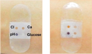 Biosensor ‘bandage’ Collects and Analyzes Wweat