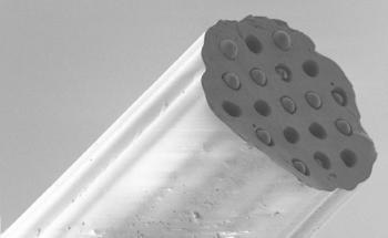 Miniature Probe Senses Deep in the Lung to Diagnose Disease