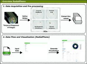 Using RadialPheno to Make Sense of Phenocam-Collected Phenology Data