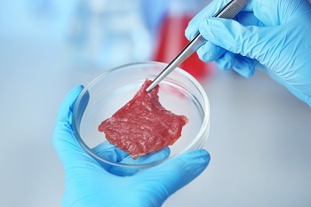 Integrated Photonic Sensors to Deal with Microbiological Control of Meat Industry