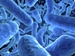 Universal Sensors to Improve Vantix Biosensor Technology