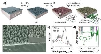 Sensor Based on Black Silicon Detects Toxic Contaminants and Explosives