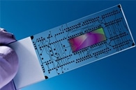 New Paper-Based Sensor for Forest Fire Sensing