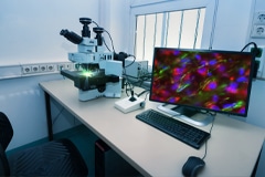 New Nanoantennas can Drastically Improve Sensitivity of Biosensors