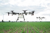 Aerial Imagery can be Used to Clamp Down on Banana Threats