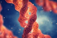 NMR-based Sensor Could be Used to Detect Fatty Liver Disease or Liver Fibrosis