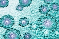 Researchers Develop New Immunosensor Based on Bioluminescence Resonance Energy Transfer Principle