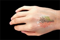 Soft, Strain-Sensing Device for Non-Invasive and Real-Time Detection of Skin Disorders