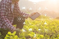 New Method for Making Ultrathin Sensors Could Aid in Sustainable Farming