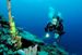 Robotic Sensors to Monitor Marine Ecosystems