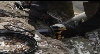 Sensors to Assess Water Quality
