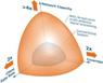 Japanese WiMAX Networks to Feature ArrayComm’s PHY Solution