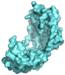 Biosensors Connect Protein Stability to Antibiotic Resistance