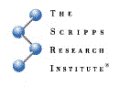 Nano-Scale Molecular Switch Detects Metallic Ions in Surrounding Environment