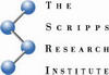 STIM1 Protein in Immune Cells Functions as Temperature Sensor