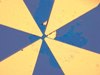Researchers Discover Self-Powered Graphene Coated Micro-Sensors