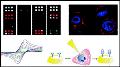 Evaluation of Nanoparticle-Based Sensors Used in Cancer Detection