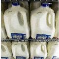 Temperature Monitoring Solution for Milk in Transit
