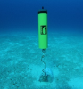 Wildlife Acoustics Introduces Ultrasonic-Based Song Meter SM2M System For Recording Marine Sounds