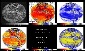 NASA Environmental Satellite Takes Multi-Wavelength Images of Earth