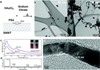 Novel Technique Helps Develop Wearable Sensor Chips to Detect Poisonous Gases
