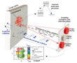 Two-Laser System Using Photothermal Spectroscopy Determines Composition of Chemicals