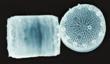 Fluorescent Biosensor Paves Way to Detect Chemicals in Water