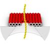 DNA-Based Nanoscale Cover Plates Enhance Capabilities of Solid-State Nanopores