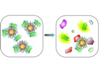 New Sensor Array System Detects Different Metastatic Cell Types in Live Tissues