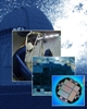 Dark Energy Camera Adopts Berkeley Lab Sensors