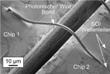 KIT Researchers Discover Optical Waveguide Connecting Semiconductor Chips